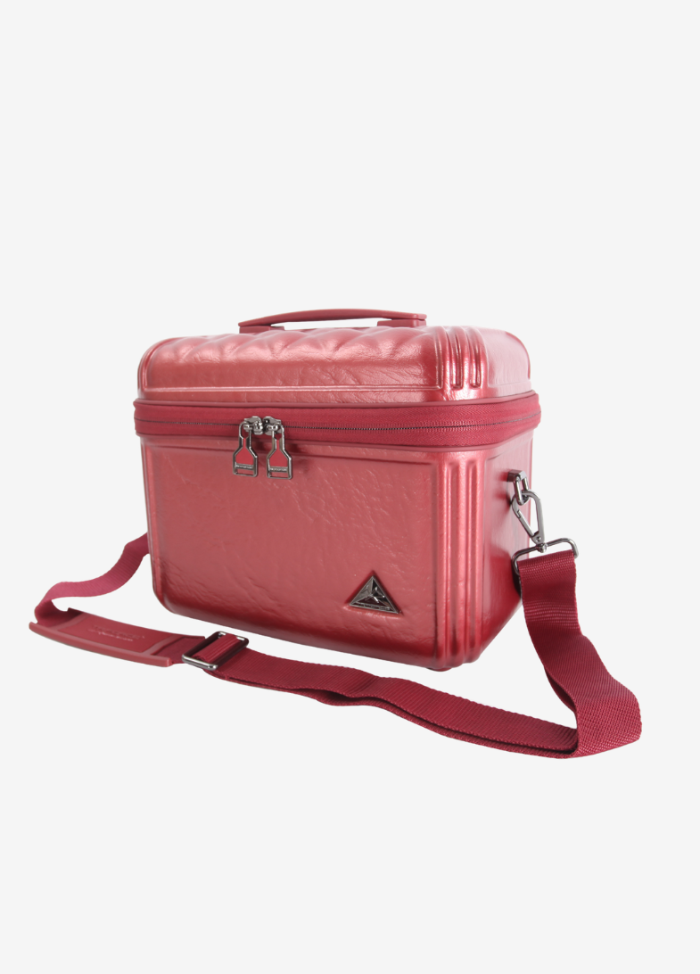 Avignon Elite 12in Train Case